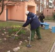 Живые изгороди появятся в минских дворах: чтобы защитить зелёные зоны от парковок авто