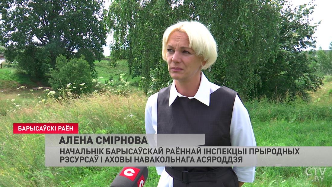 В каких районах Минской области больше всего борщевика и как с ним борются-7
