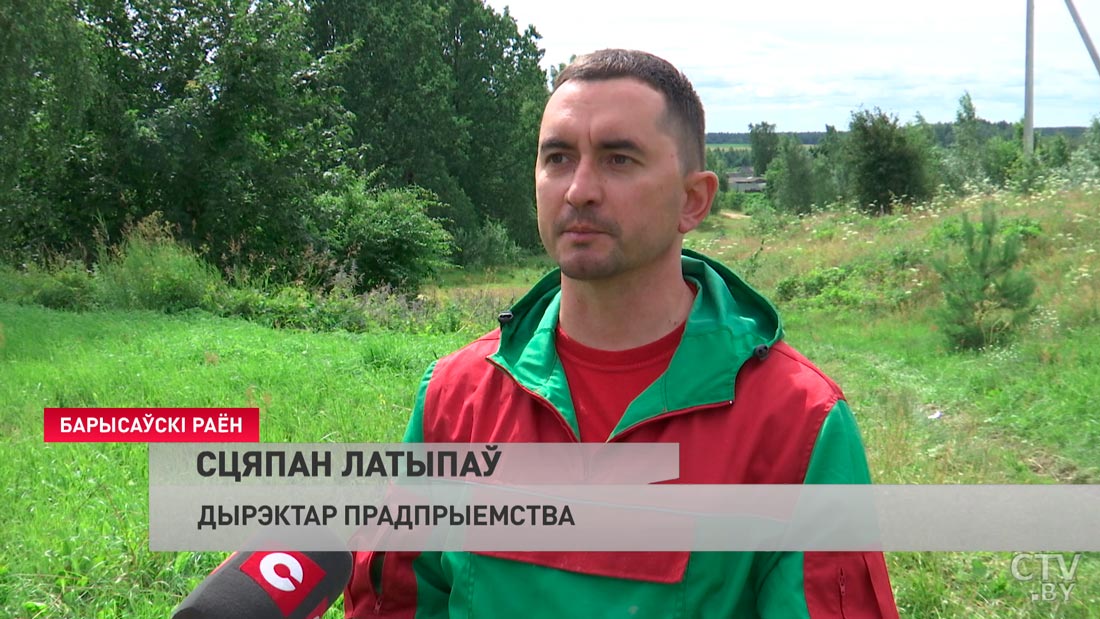 В каких районах Минской области больше всего борщевика и как с ним борются-10