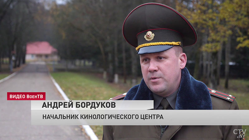 Кинологическому центру белорусской армии – 25 лет. Рассказываем, как готовят служебных собак-11 Кинологическому центру белорусской армии – 25 лет. Рассказываем, как готовят служебных собак-11
