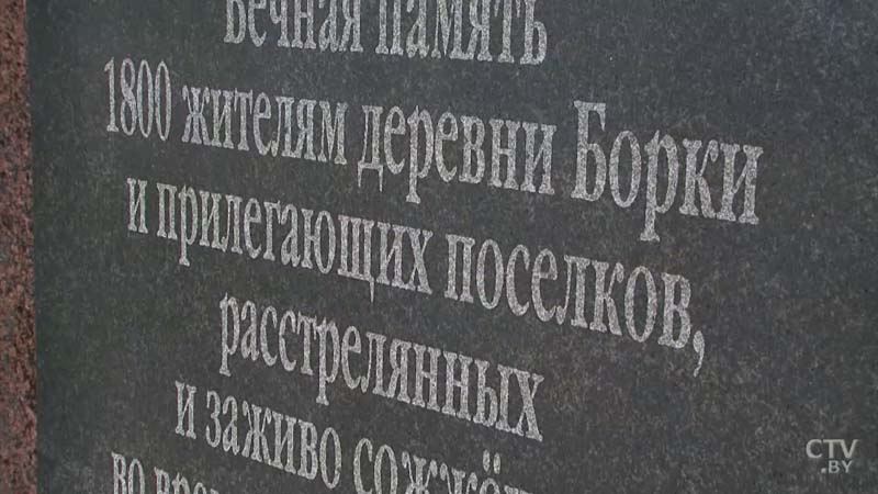 «А вы смотрели фильм «Иди и смотри»? Это прототип Борок». Создают памятник жертвам сожжённых деревень Могилёвской области -23