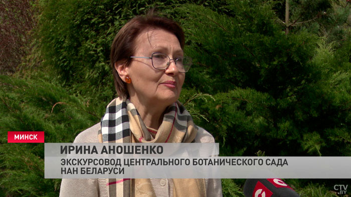 «Как без концертной программы?» Ко Дню Победы готовится Центральный ботанический сад-4