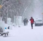 Ботанический сад приглашает на фестиваль снежных и ледовых скульптур. Что ждёт гостей?