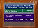 Бюджет прожиточного минимума с 1 ноября составляет 174,52 рубля