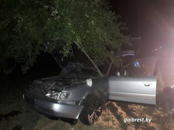 Под Брестом Audi снесла забор и врезалась в дерево. Водитель в реанимации -1