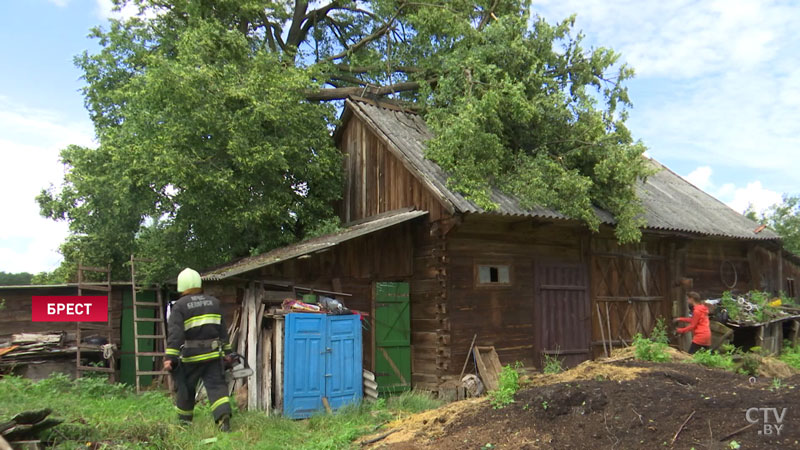 Ни один звонок не остаётся без внимания. В Брестской области устраняют последствия урагана-1