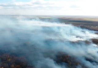 В Брестской области горела пойма реки. Подозревают поджог