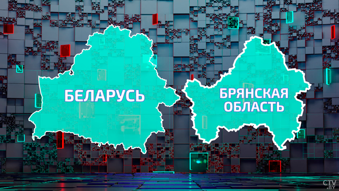 «Всегда брала пример с белорусов». Как Брянская область вошла в тройку России по урожайности зерновых-1