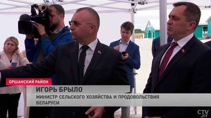 Брыло: «По картофелю у нас вопроса нет». Как обстоят дела с уборочной в стране?-1