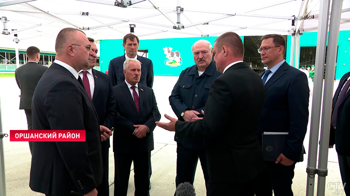 Брыло: «По картофелю у нас вопроса нет». Как обстоят дела с уборочной в стране?-4