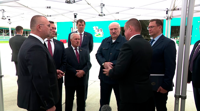 Брыло: «По картофелю у нас вопроса нет». Как обстоят дела с уборочной в стране?