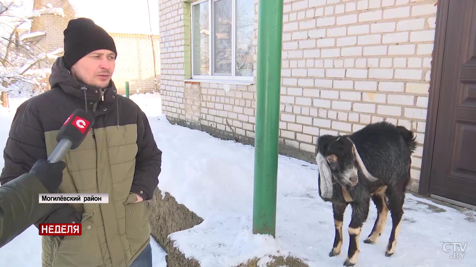«Появился стимул в жизни». Пенсионерка открыла своё дело и прославилась благодаря булочкам-31