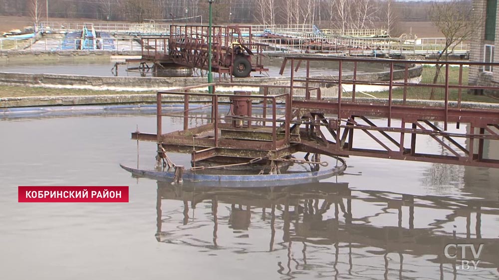 «Дышать невозможно». Жители поселка в Кобринском районе жалуются на зловонные запахи от очистных сооружений-35