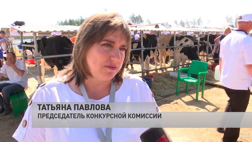 Бычки-качки и бурёнки эталонной внешности. Зачем животным устраивают конкурсы красоты?-10