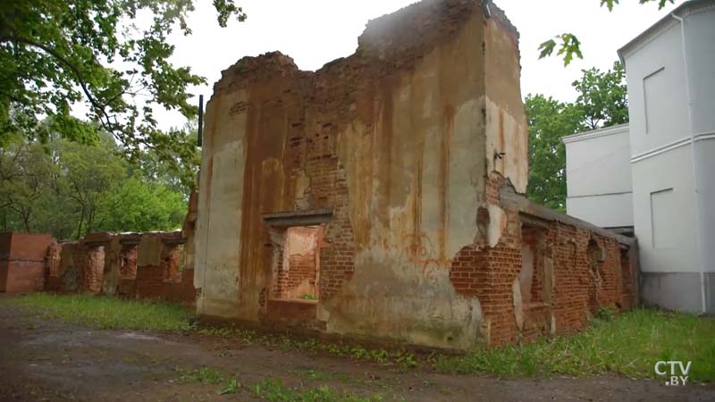 Закладной камень дворца XVIII века и редчайшая чёрная сосна. Что сохранилось от усадьбы Монюшко-Ваньковичей в Смиловичах-4