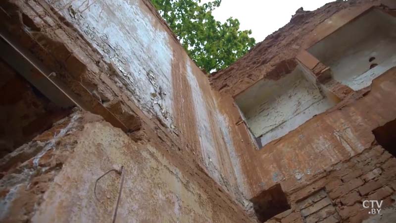 Закладной камень дворца XVIII века и редчайшая чёрная сосна. Что сохранилось от усадьбы Монюшко-Ваньковичей в Смиловичах-10