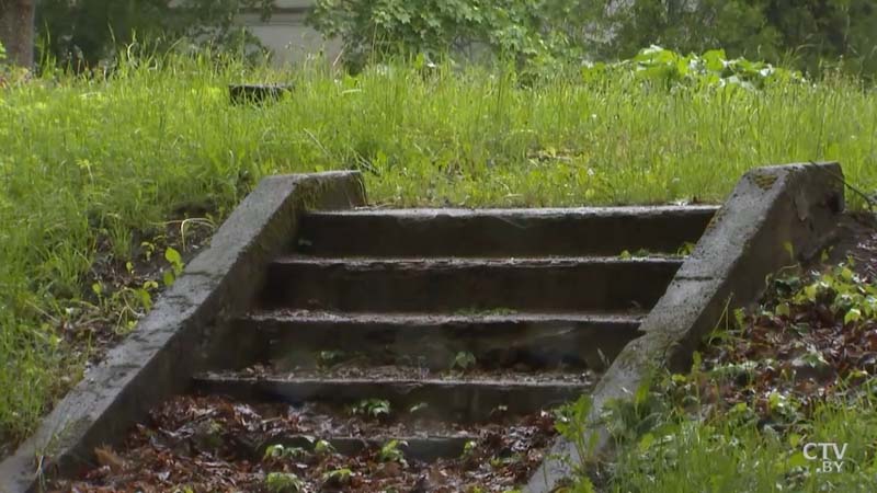 Закладной камень дворца XVIII века и редчайшая чёрная сосна. Что сохранилось от усадьбы Монюшко-Ваньковичей в Смиловичах-21