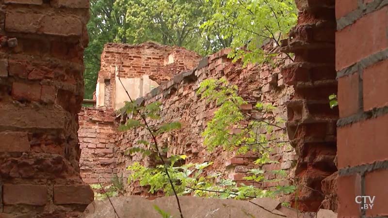 Закладной камень дворца XVIII века и редчайшая чёрная сосна. Что сохранилось от усадьбы Монюшко-Ваньковичей в Смиловичах-32