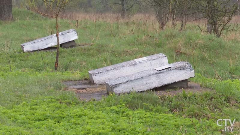 Вместо домов лежат могильные плиты. Побывали в деревне Любча, которой с 1943 года нет на карте Беларуси-4