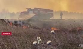 В Чернобыльской зоне больше недели не могут потушить лесные пожары