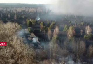 Пожар в Чернобыльской зоне удалось потушить. Помог дождь