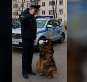 Витебские милиционеры присоединились к международному челленджу ВОЗ и показали, как дезинфицируют руки