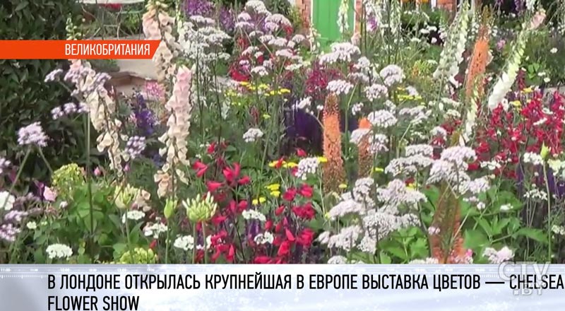 Chelsea Flower Show-2018 посетила Елизавета II: видеофакт-1