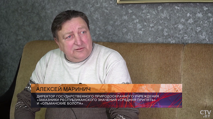 «130 тысяч гектаров – и ни одного населённого пункта». Чем особенны Ольманские болота?-7