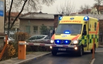 Бабушка приправила рождественскую утку марихуаной и отравила всю семью