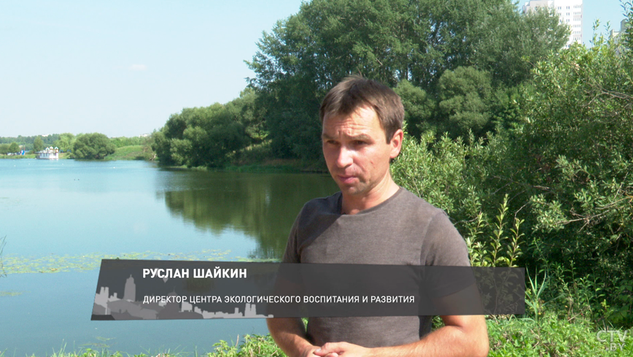 Понаблюдать за птицами и насладиться природой. На берегах Чижовского водохранилища появился «Чомга-остров»-1