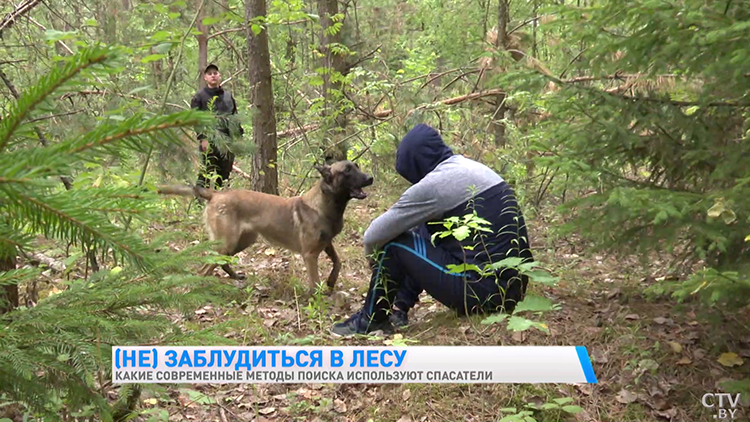 Что делать, если заблудился в лесу? Вот правила от спасателей, которые помогут выжить-19