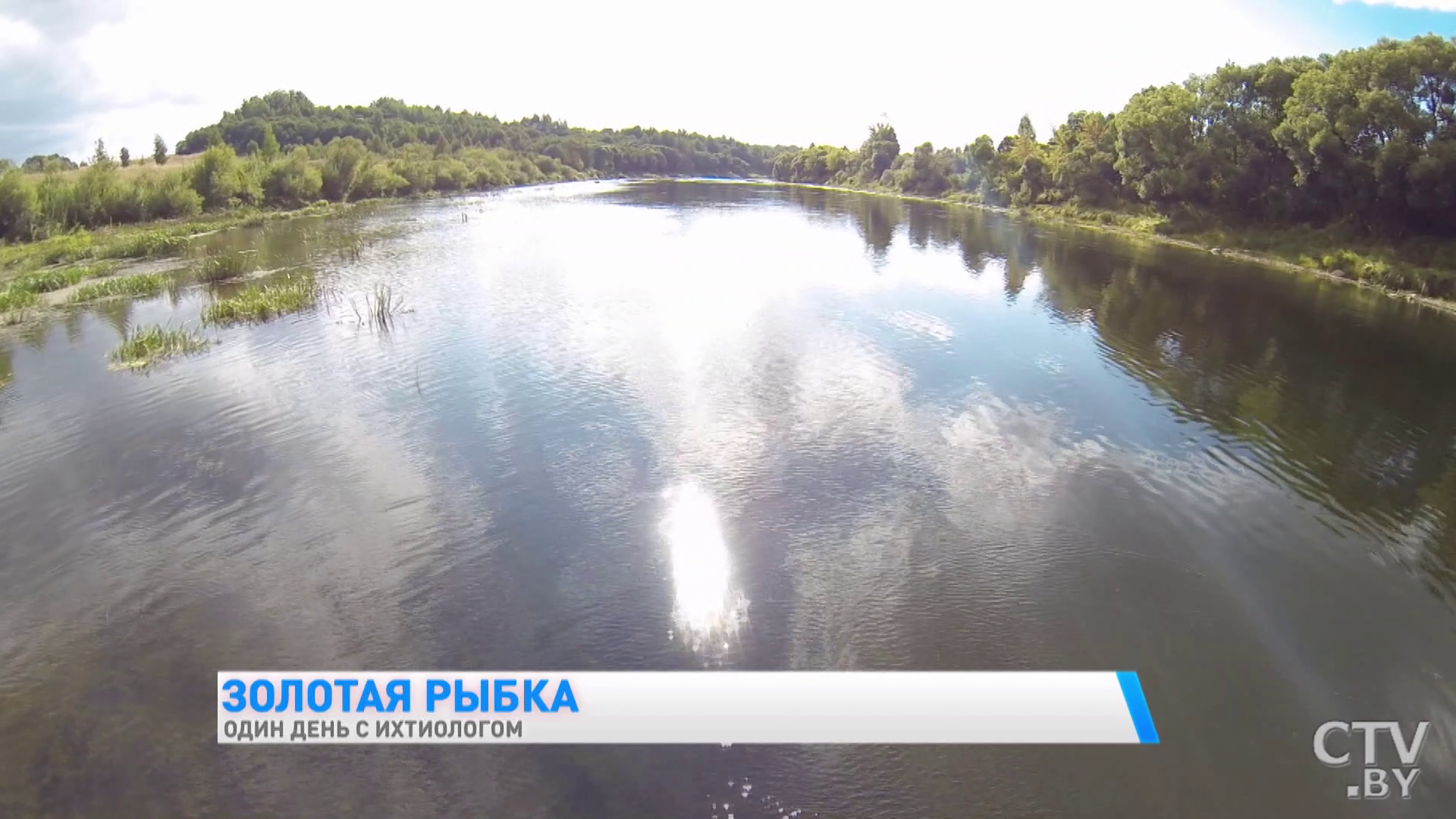 «Чужеродные виды рыб заселяют наши водоёмы и этим вредят нашей экосистеме». Один день с ихтиологом -7