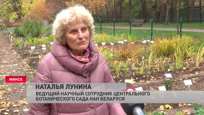Красивый, но ядовитый. В ботаническом саду неожиданно зацвел редкий для наших краёв цветок-4 Красивый, но ядовитый. В ботаническом саду неожиданно зацвел редкий для наших краёв цветок-4