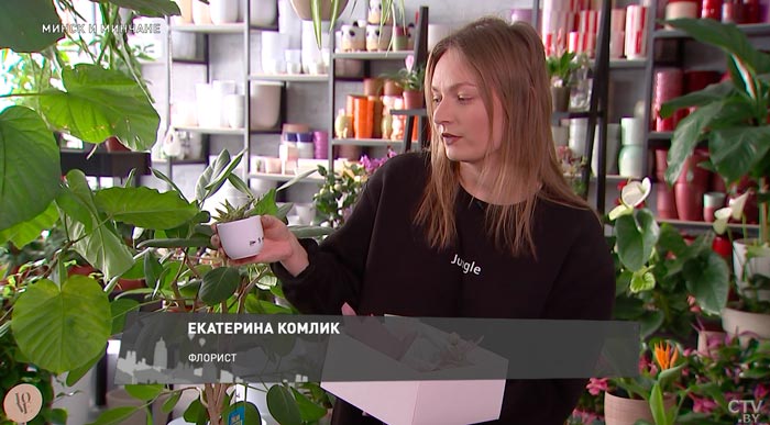 Какие необычные растения с простым уходом можно завести дома? Поговорили с флористом-1 Какие необычные растения с простым уходом можно завести дома? Поговорили с флористом-1