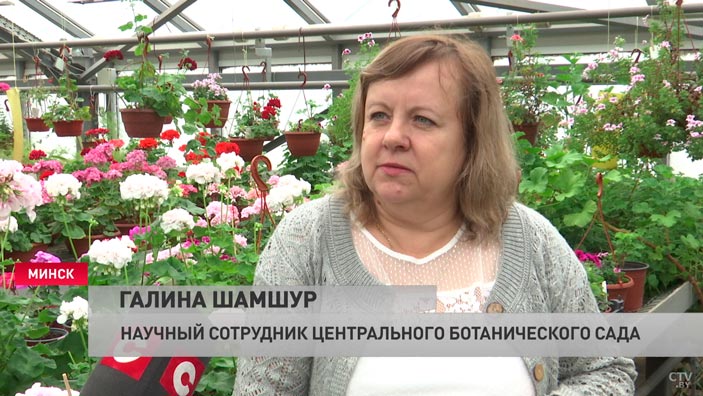 «Очень светолюбивая культура». Цветы с запахом кока-колы вырастили в Беларуси-4