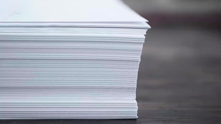 Как производят бумагу – узнали у специалиста