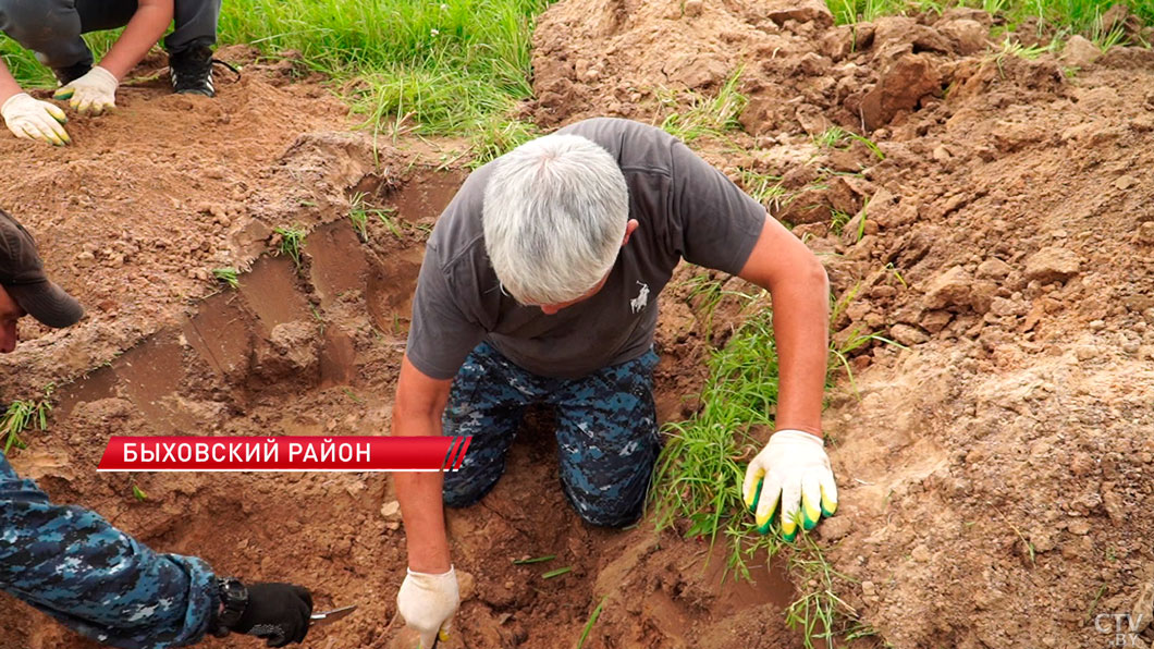Белорусско-казахская поисковая экспедиция развернулась в Быховском районе -12
