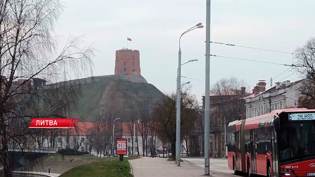 Более половины литовцев не собираются активно участвовать в обороне страны – соцопрос