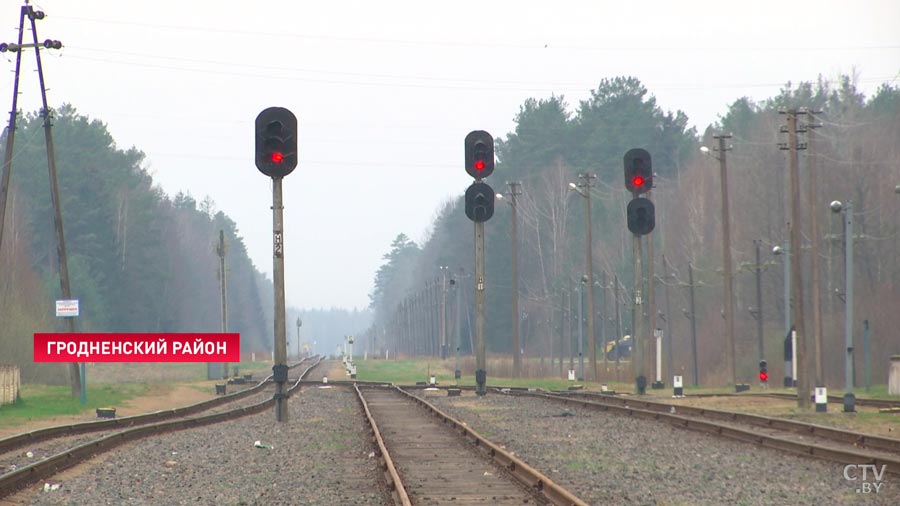 7 километров пешком. Пенсионеры-дачники под Гродно пытаются отстоять поезд до садового товарищества-34