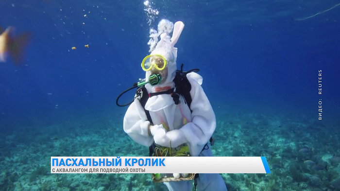 Дайвер в костюме кролика устроил охоту за пасхальными яйцами под водой-1