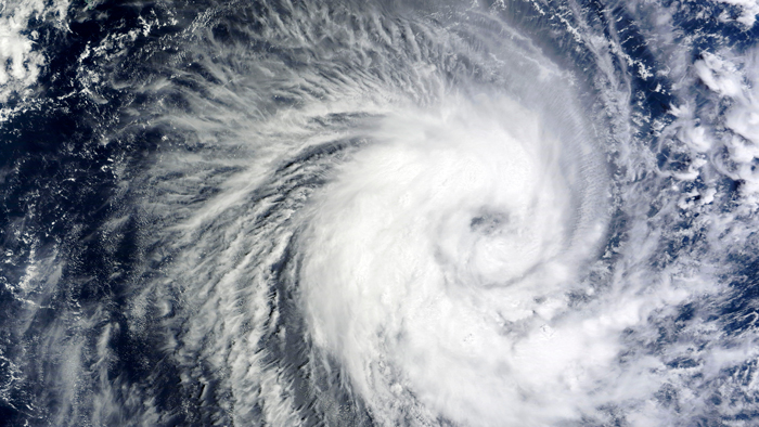 Предупреждение о цунами объявили на побережье в Калифорнии Предупреждение о цунами объявили на побережье в Калифорнии