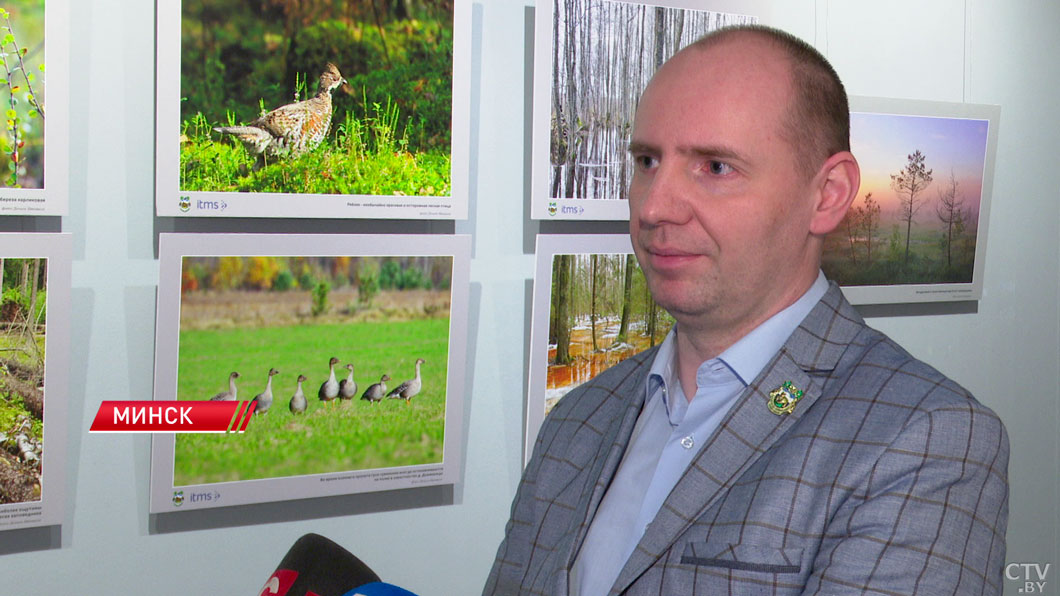 В Минске работает выставка фото Березинского биосферного заповедника – автор собирал эти кадры 15 лет-4 В Минске работает выставка фото Березинского биосферного заповедника – автор собирал эти кадры 15 лет-4