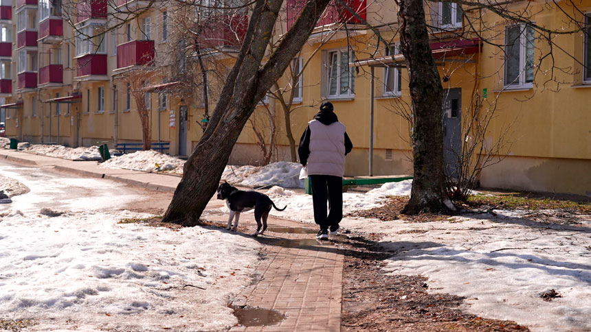 Больше не рекомендация, а закон! Что грозит нерадивым собаководам за неубранный «сюрприз» питомца