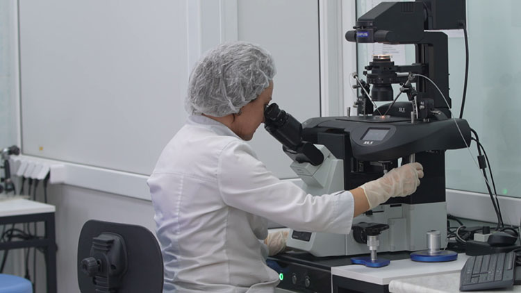 Александр Лукашенко подписал указ о проведении ЭКО Александр Лукашенко подписал указ о проведении ЭКО