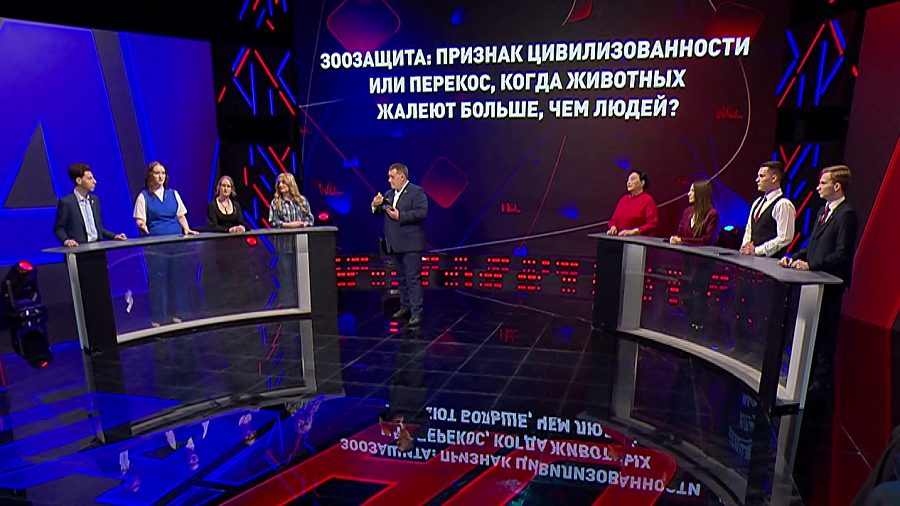 Кому помочь в первую очередь: людям или животным? Мнения