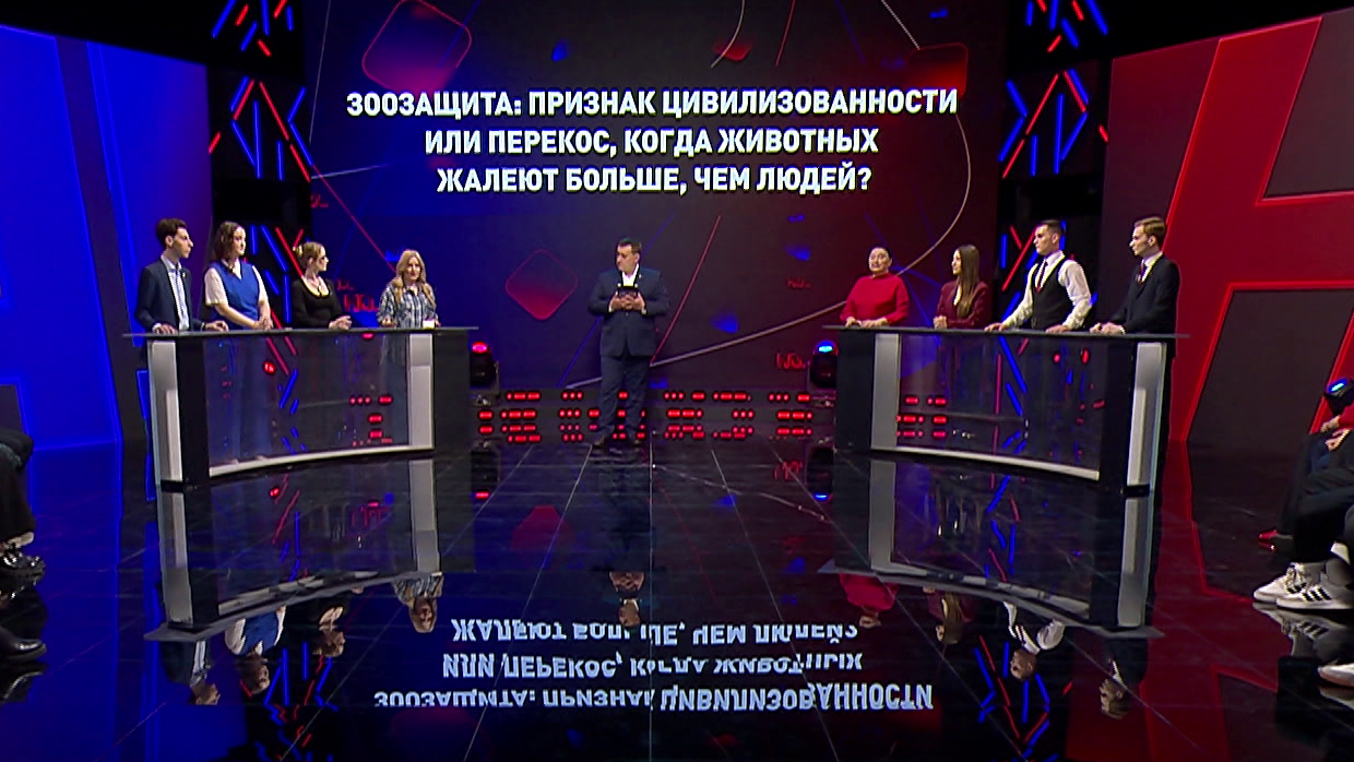 Может ли домашнее животное разрушить отношения в семье? Психолог рассказала два случая