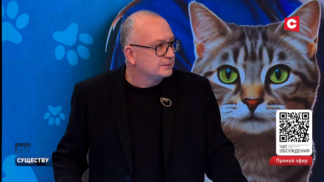 Что с ценами в ветклиниках и как обстоят дела с кадрами ветпрофиля? Обсудили в ток-шоу-5
