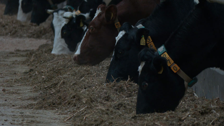 В 2026 году в Минской области планируют построить не менее 30 современных МТК