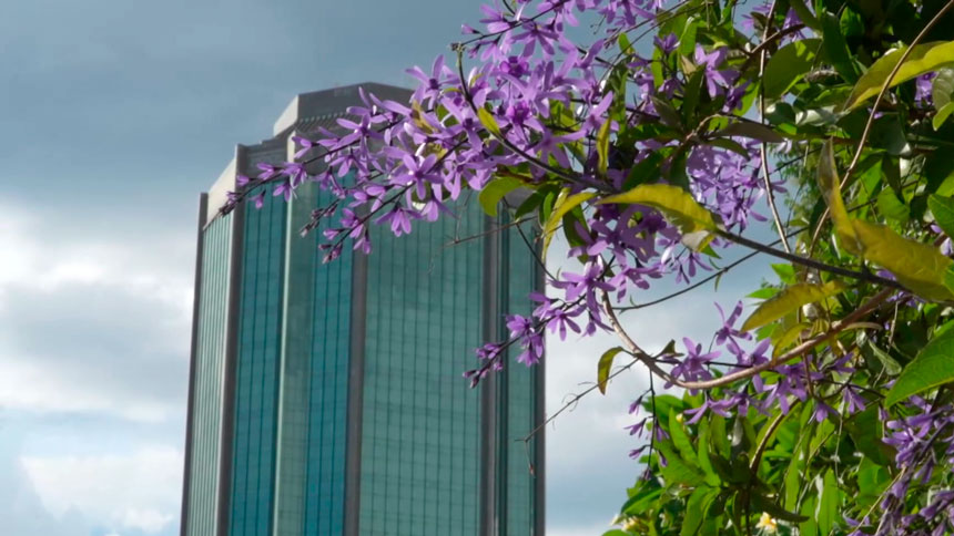 В Зимбабве начались общественные слушания по проекту конституционных поправок