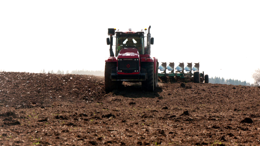 В Минской области ранними яровыми засеяно более 65 тысяч гектаров